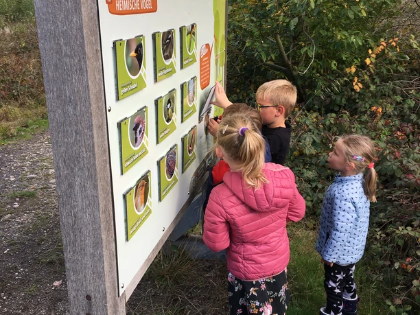 Walderlebnispfad Salzbergen 2022, Foto Gemeinde (3).JPG Kinder entdecken am Walderlebnispfad Salzbergen eine Tafel über heimische Vogelarten im Wald.