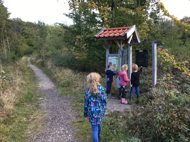 Walderlebnispfad Salzbergen 2022, Foto Gemeinde (4).JPG Kinder erkunden im Stoverner Wald eine Informationsstation am Walderlebnispfad in Salzbergen.