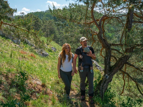 Alpiner Steig bei Schönhofen Wanderpärchen mit Baby in Babytrage unterwegs auf einem Wanderpfad. Im Hintergrund ist eine alpin wirkende Landschaft mit Kieferbäumen zu sehen.