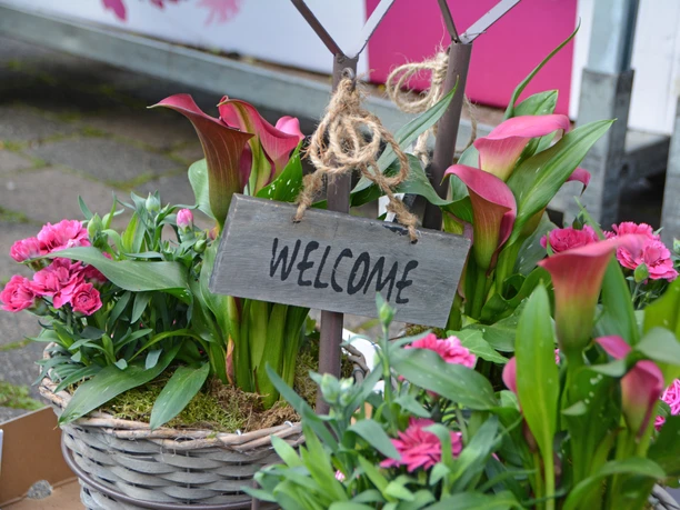 Wochenmarkt Marsberg