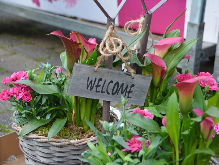 Wochenmarkt Marsberg