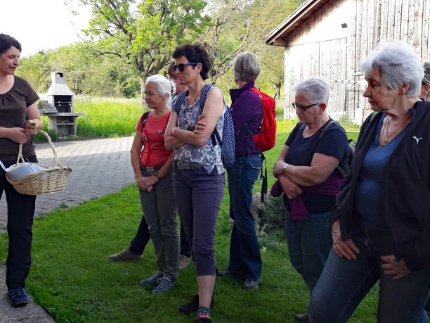kraeuterwanderung-haslihof-fuehrungen-erlebnisregion-mythen_3.jpg