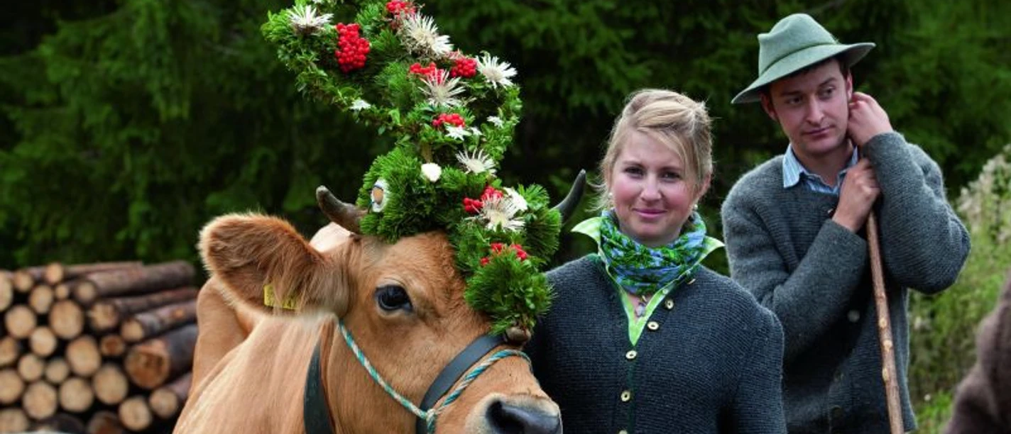 Almabtrieb der Rinder
