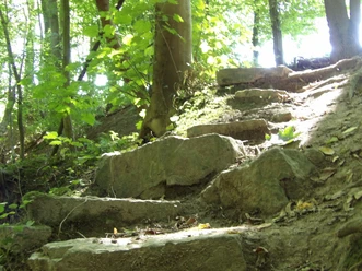 Teutoburger Wald-Patensteig Extertal-LTM GmbH-Guido Röcken (37).JPG Steinige Treppen führen durch einen Wald, von Lichtflecken durchbrochen, entlang des Patensteigs.