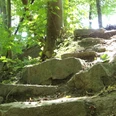Teutoburger Wald-Patensteig Extertal-LTM GmbH-Guido Röcken (37).JPG Steinige Treppen führen durch einen Wald, von Lichtflecken durchbrochen, entlang des Patensteigs.