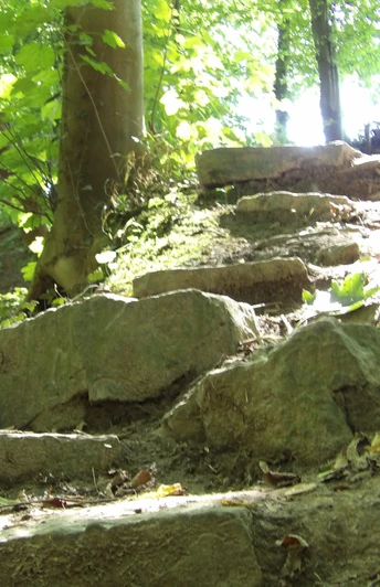 Teutoburger Wald-Patensteig Extertal-LTM GmbH-Guido Röcken (37).JPG Steinige Treppen führen durch einen Wald, von Lichtflecken durchbrochen, entlang des Patensteigs.