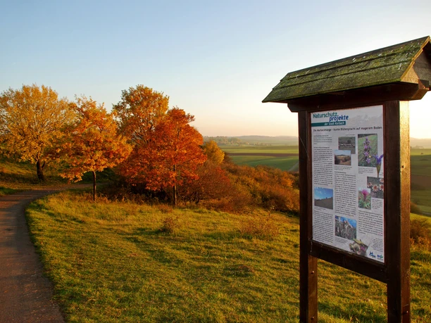 Infotafel Marbeckhänge Herbst
