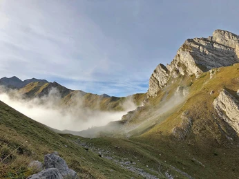Nebelschwaden im Herbst Nebelschwaden im Herbst