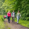 Eröffnungswanderung mit Landrätin Dr. Bettina Warnecke Freunde spazieren auf einem Waldweg in Ratingen, umgeben von üppigem Grün und dichtem Laubwerk.