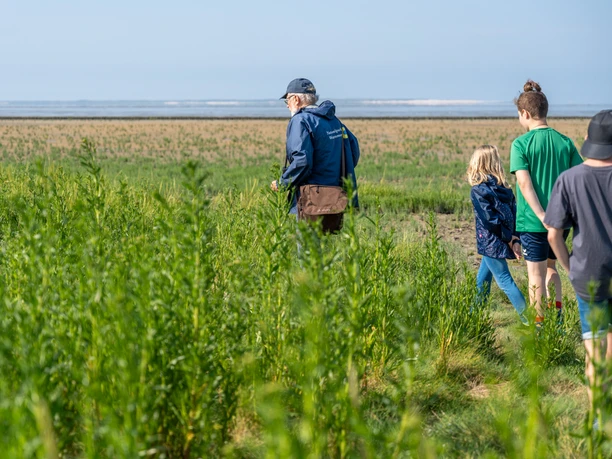 WTG_Salzwiesenführung