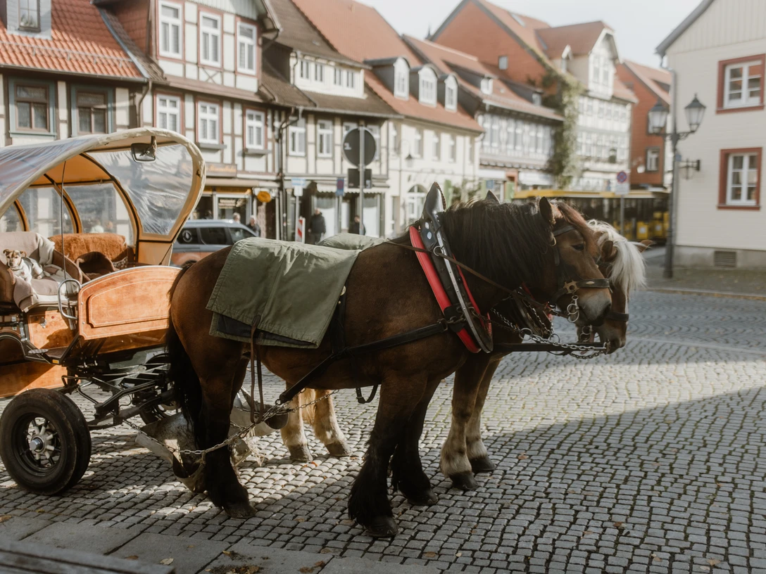 Kutsche-wernigerode Kutsche-wernigerode