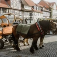 Kutsche-wernigerode Kutsche-wernigerode