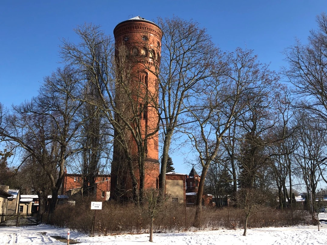 handled_IMG_8248_1080_1920_80 (c) PMSG Imme Friedrich.jpg