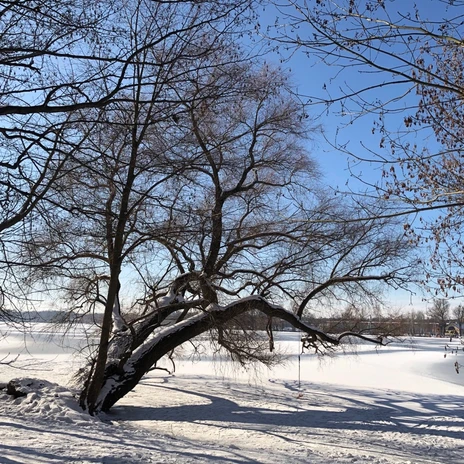 handled_IMG_8272_1080_1920_80 (c) PMSG Imme Friedrich.jpg