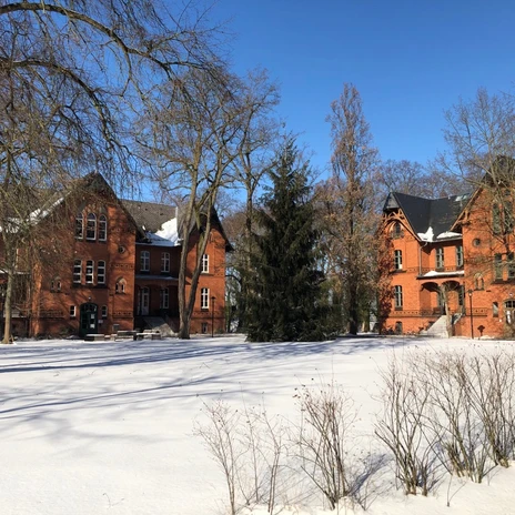 handled_IMG_8282_1080_1920_80 (c) PMSG Imme Friedrich.jpg