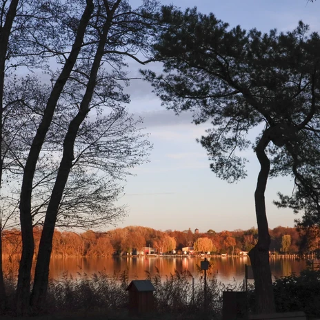 IMG_4541 (c) PMSG Sophie Soike.jpg