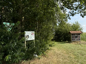 Kleines Wittefehn ©Emsland Tourismus GmbH Naturpfad mit Infotafeln am Waldrand, umgeben von Bäumen, Sträuchern und einer Wiese im Sonnenlicht.