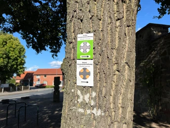 Klosterlandschaftswege Wegmarkierung an einem Baumstamm, zeigt Routen für "Großer Klosterlandschaftsweg" und "Kleiner Klosterlandschaftsweg".Trail marker on a tree trunk, shows routes for "Großer Klosterlandschaftsweg" and "Kleiner Klosterlandschaftsweg".Trailmarkør på en træstamme, viser ruter til "Großer Klosterlandschaftsweg" og "Kleiner Klosterlandschaftsweg".Wegmarkering op een boomstam, toont routes voor "Großer Klosterlandschaftsweg" en "Kleiner Klosterlandschaftsweg".