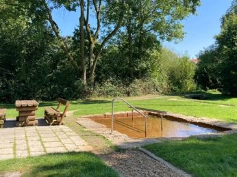 Almeauen | Büren Almeauen | Büren