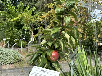 Bibelgarten Lünne ©Emsland Tourismus GmbH