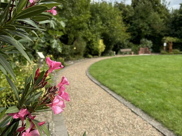 Bibelgarten Salzbergen ©Emsland Tourismus GmbH Rosa Blüten am Wegesrand eines gepflegten Gartens mit Rasenfläche und Bäumen im Hintergrund