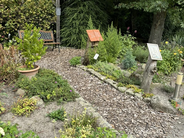 Bibelgarten Salzbergen ©Emsland Tourismus GmbH Kleiner Bibelgarten mit Holzweg, Sitzbank, Schildern und vielfältigen Pflanzen unter hohen Bäumen.