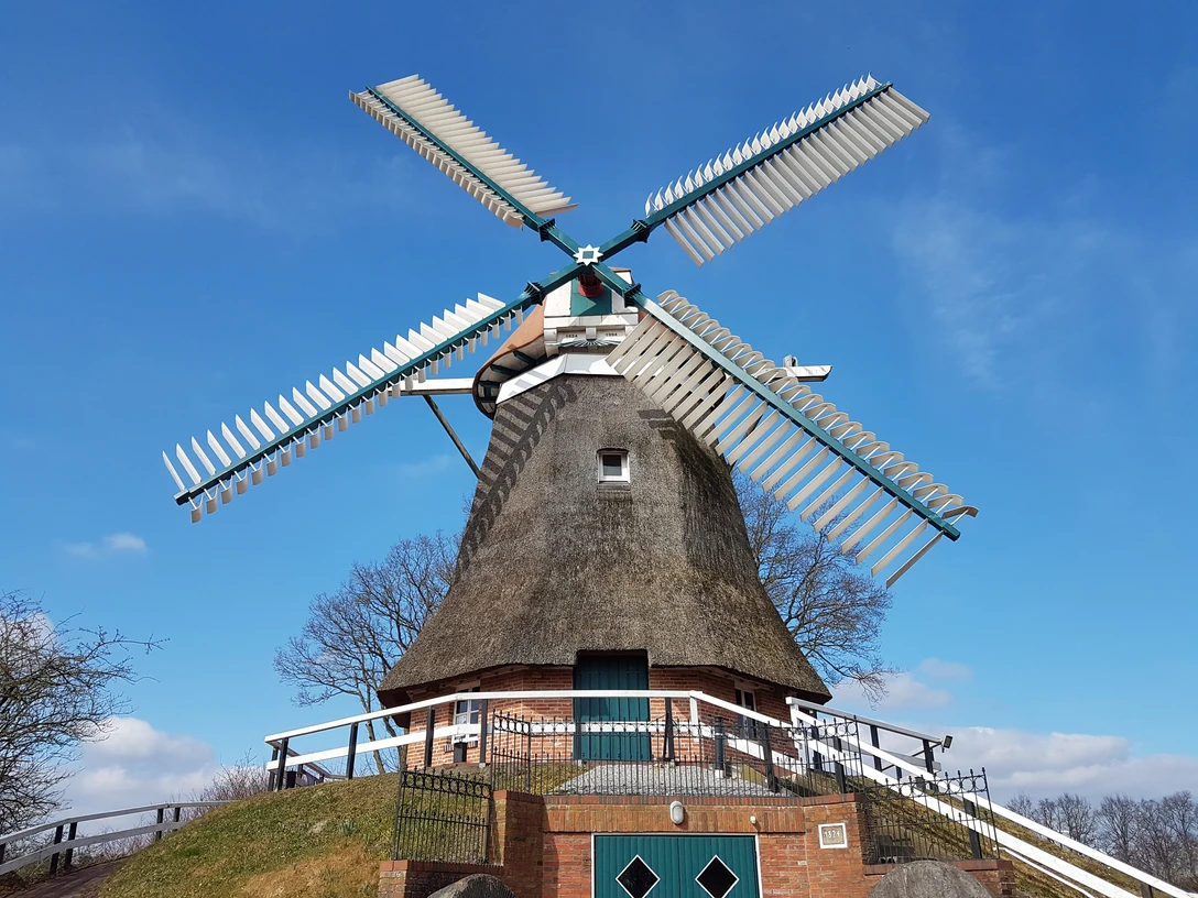 Mühle Burlage, Rhauderfehn Reetgedeckte Windmühle mit vier großen Flügeln auf einem kleinen Hügel unter blauem Himmel