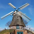 Mühle Burlage, Rhauderfehn Reetgedeckte Windmühle mit vier großen Flügeln auf einem kleinen Hügel unter blauem Himmel