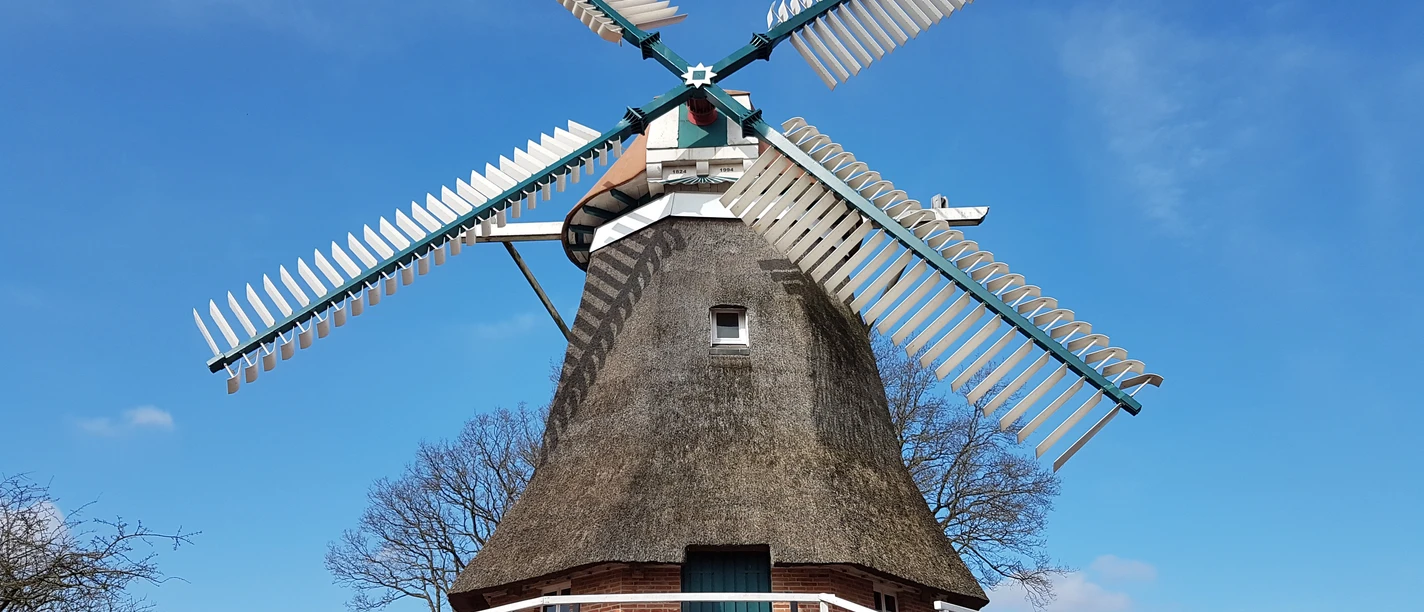 Mühle Burlage, Rhauderfehn Reetgedeckte Windmühle mit vier großen Flügeln auf einem kleinen Hügel unter blauem Himmel