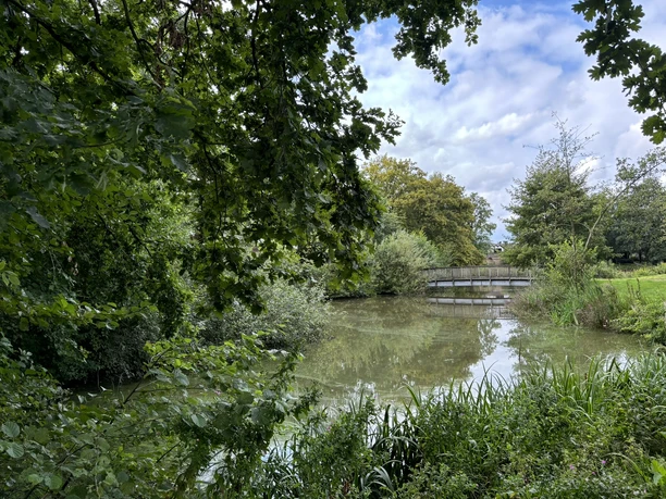 Fischereilehrpfad ©Emsland Tourismus GmbH Holzbrücke über einen Teich mit dichter Ufervegetation und Spiegelung der Bäume im Wasser.