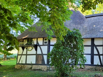 Historische Rossmühle mit Reetdach und Fachwerk, umgeben von grüner Natur und Bäumen.