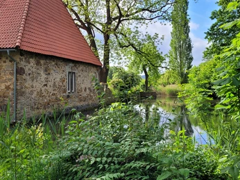 Ein Steinhaus mit rotem Dach steht an einem Teich, umgeben von üppiger Natur und grünen Bäumen.
