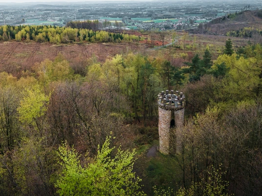 Wartturm Ein alter, steinernem Turm steht umgeben von einem herbstlich gefärbten Wald im Vordergrund.