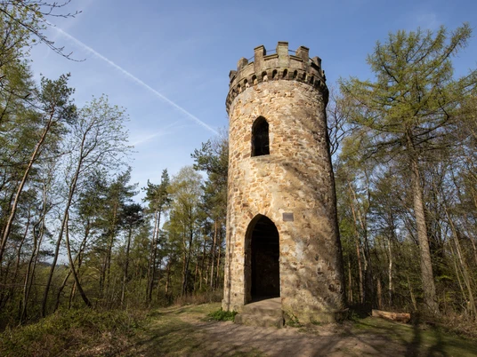 Alter Wachturm aus Stein in einem Waldgebiet, umgeben von hohen Bäumen und klarem Himmel.