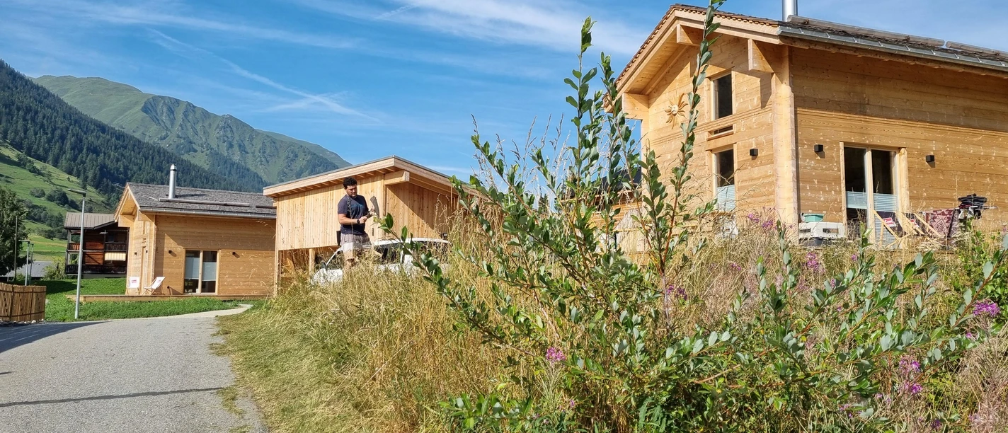 Haus Nord, Carport und Haus Süd im Sommer