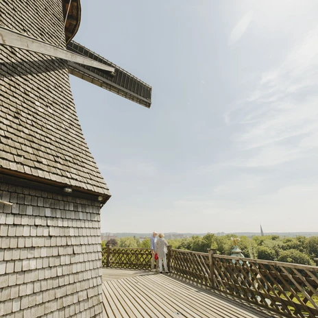 PMGS_Nimke_096 (c) PMSG SPSG Julia Nimke.jpg