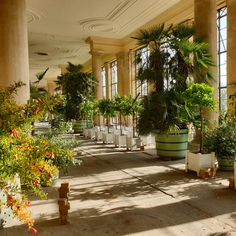 S 7-9 zum Interview_Orangerieschloss (c) PMSG SPSG Ina Kubitza.jpg