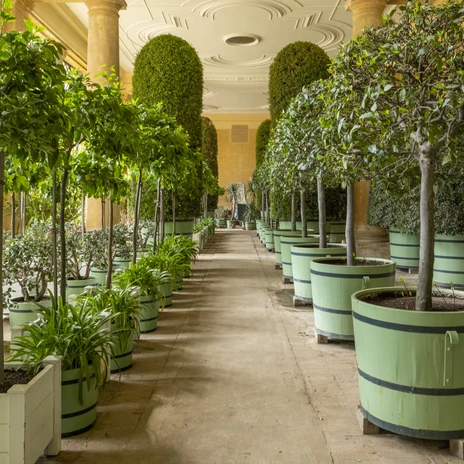 680A2545 (c) PMSG SPSG Maike Wiegmann.JPG