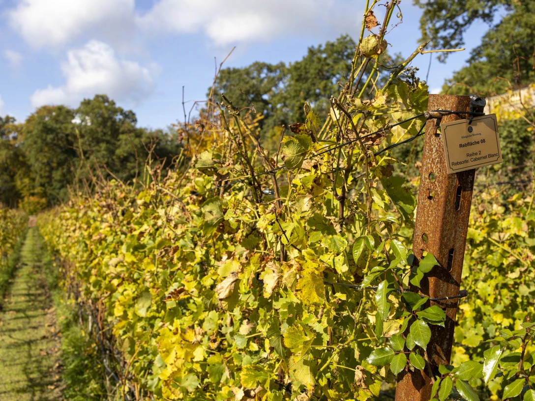 _MG_0085-Verbessert (c) PMSG SPSG André Stiebitz.jpg