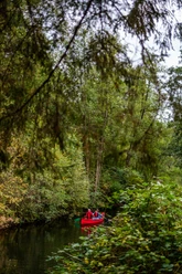 Schaalseekanal_Kanu_2