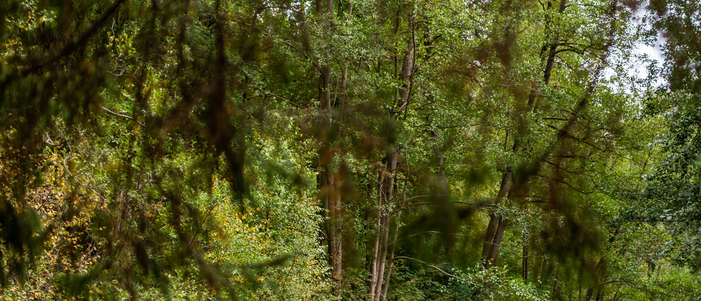 Schaalseekanal_Kanu_2