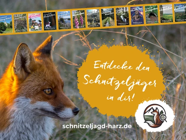 Entdecke den Harzschnitzeljäger in Dir Entdecke den Harzschnitzeljäger in Dir