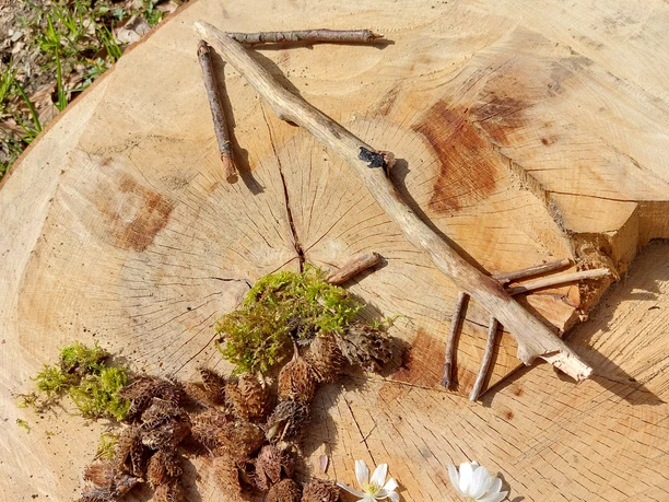 Harzschnitzeljagd Einhorntour Harzschnitzeljagd Einhorntour