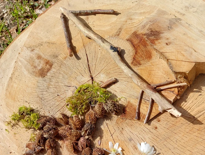 Harzschnitzeljagd Einhorntour Harzschnitzeljagd Einhorntour