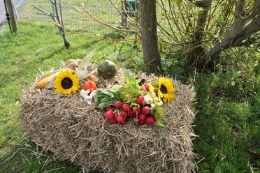 herbstdeko-im-haustierpark