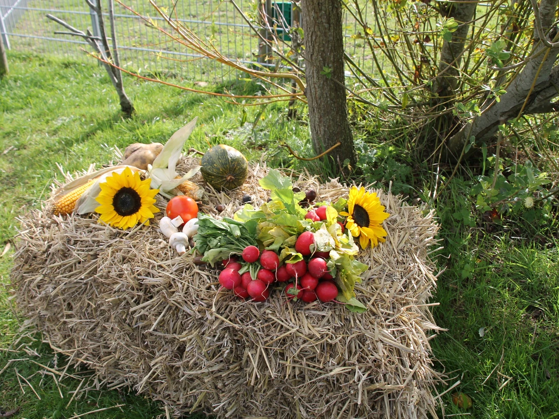 herbstdeko-im-haustierpark