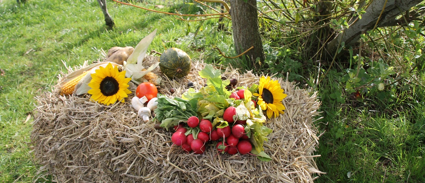 herbstdeko-im-haustierpark
