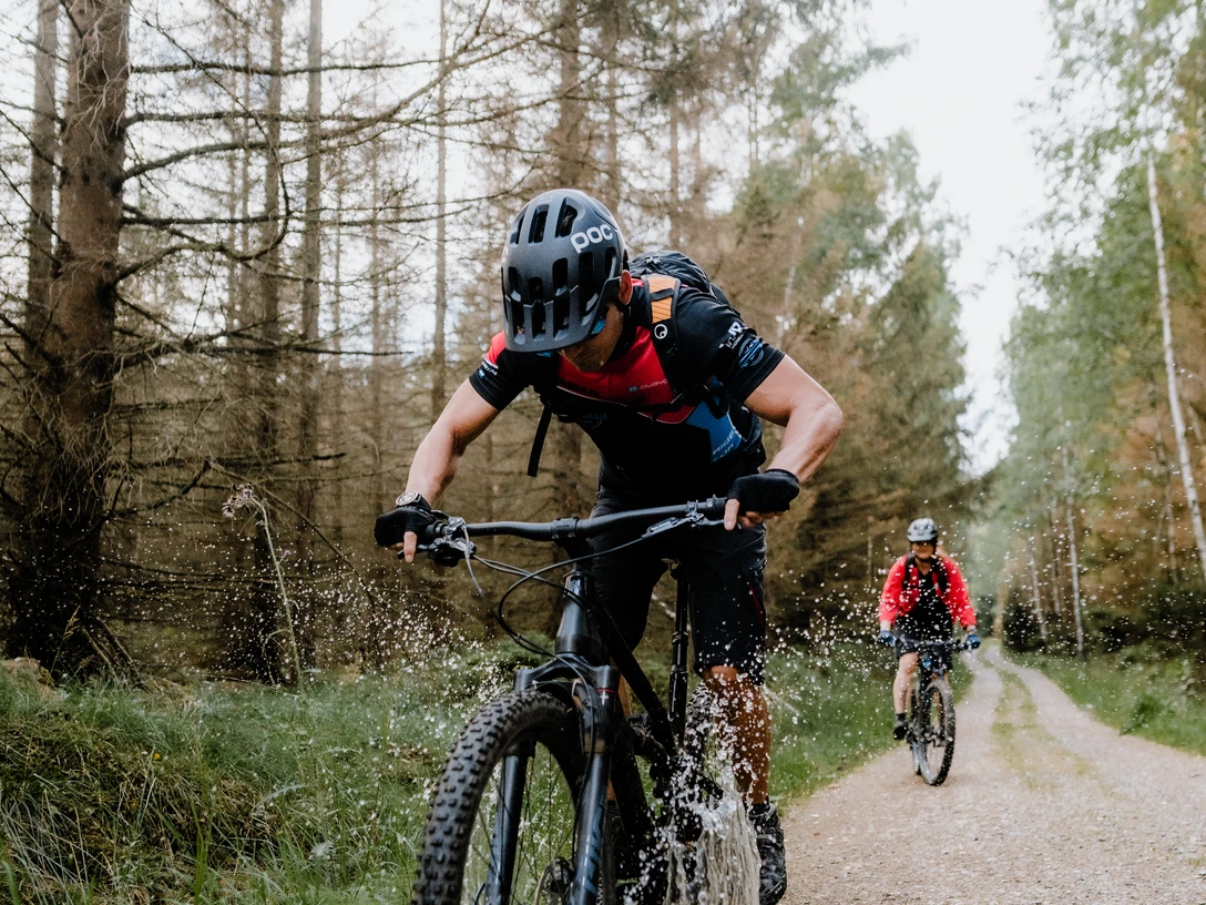 Mountainbike-Wald Mountainbike-Wald