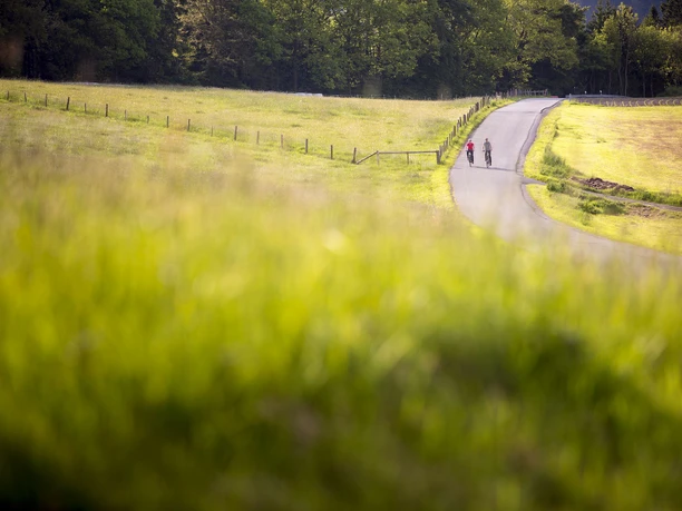 Zwei Biker beim Genussradeln durch Felder Zwei Biker beim Genussradeln durch Felder
