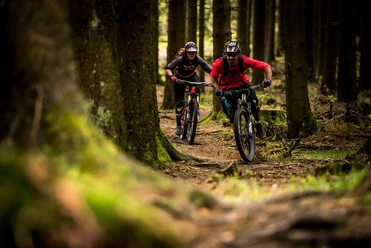 Mountainbiker auf Waldweg in Willingen Mountainbiker auf Waldweg in Willingen